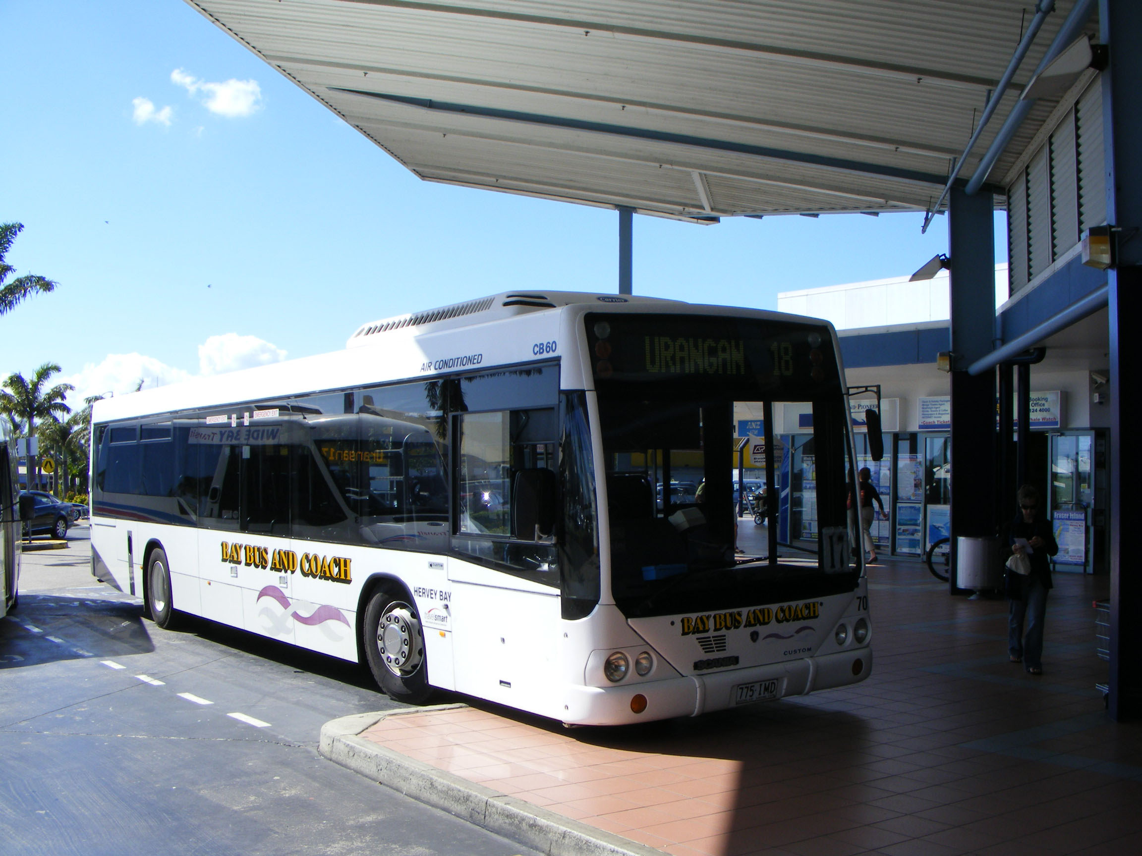 Tassielink BUS IMAGE GALLERY